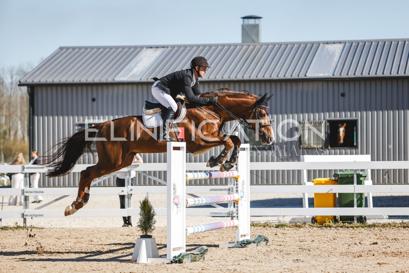 Gramina_Volber_2026_120_0414