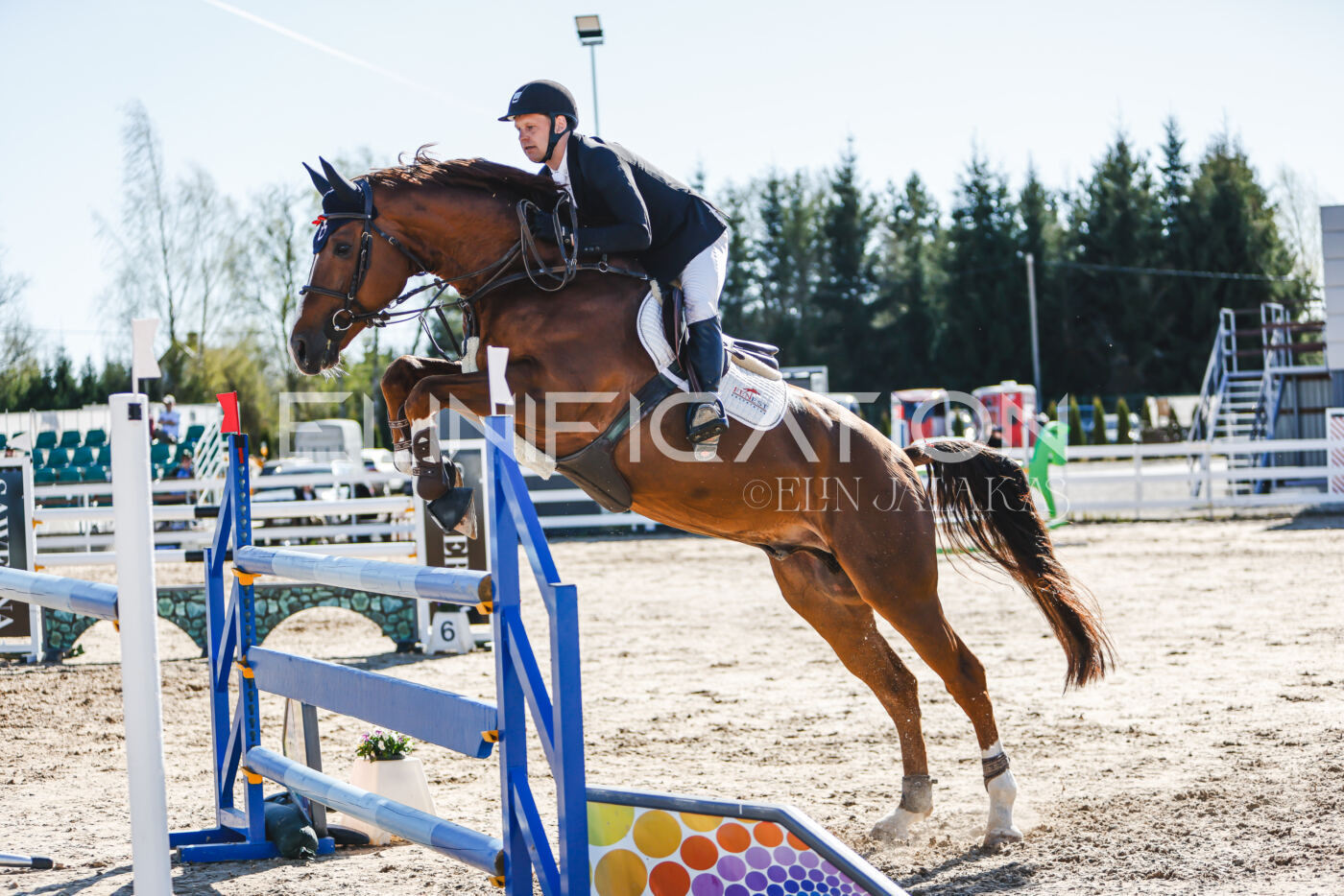 Gramina_Volber_2026_120_0424