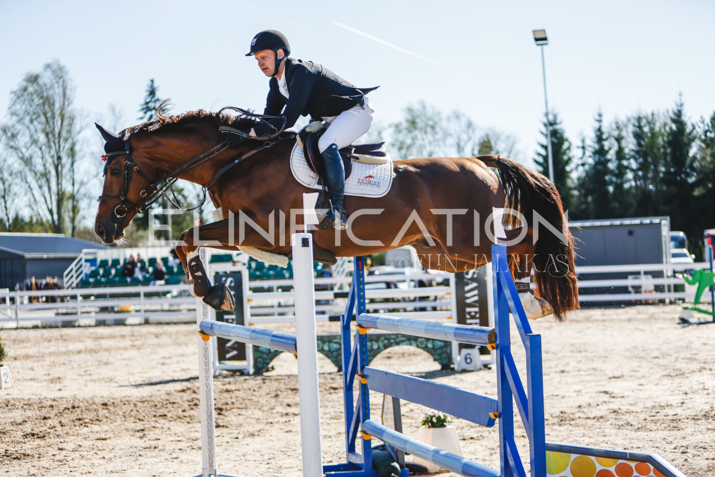 Gramina_Volber_2026_120_0429