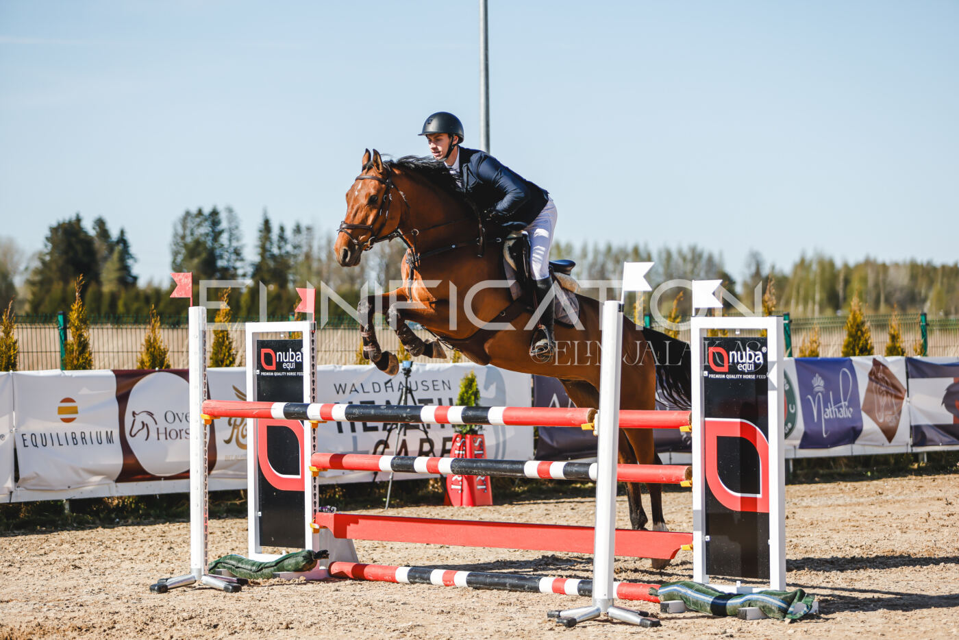 Gramina_Volber_2026_120_0431