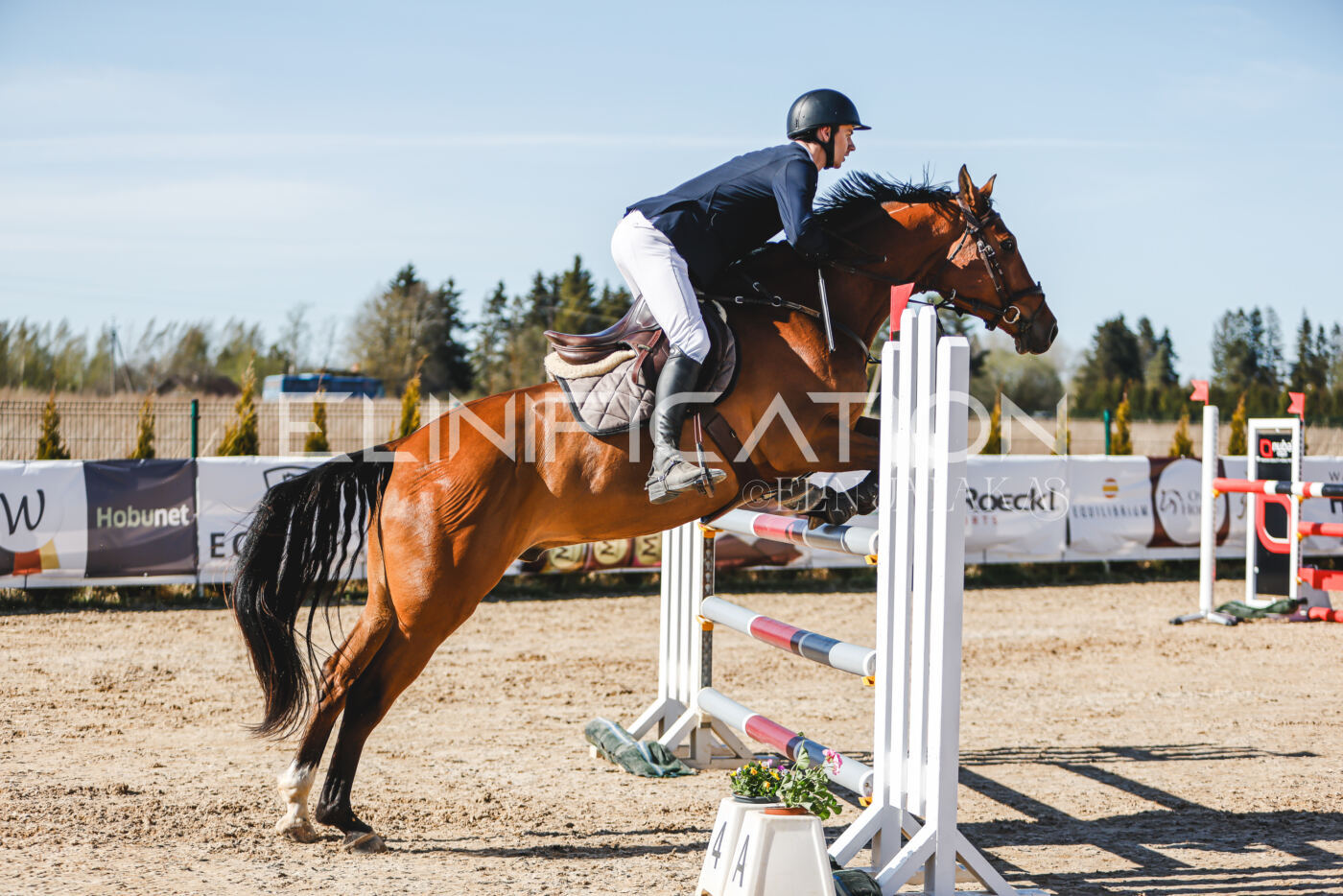 Gramina_Volber_2026_120_0444