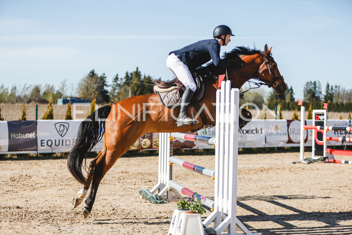 Gramina_Volber_2026_120_0445