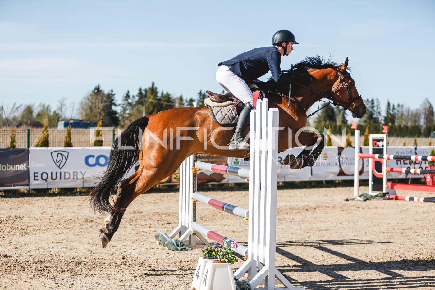 Gramina_Volber_2026_120_0446