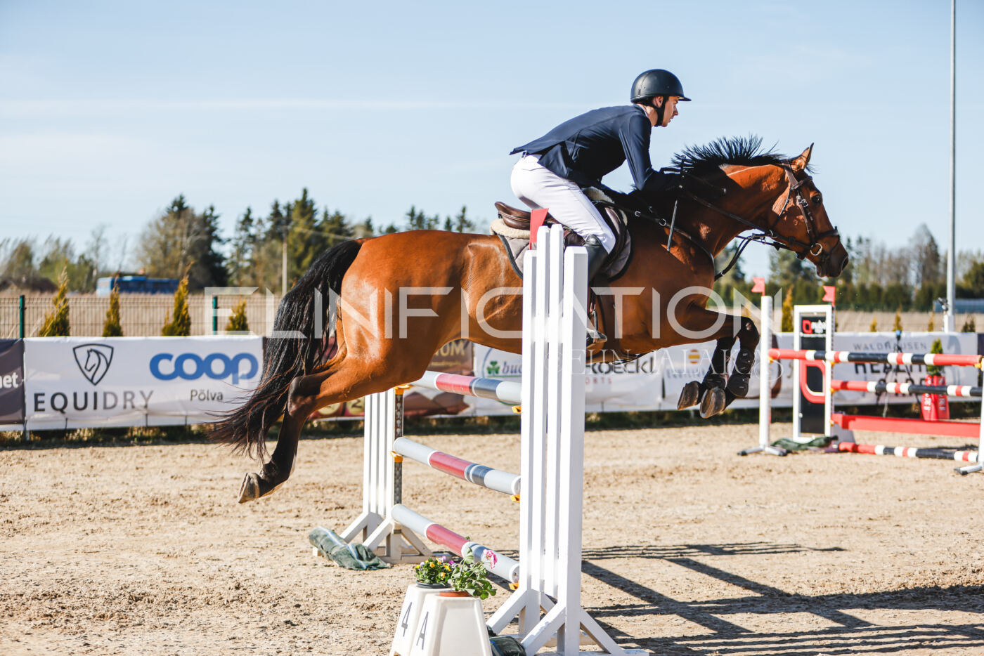 Gramina_Volber_2026_120_0447