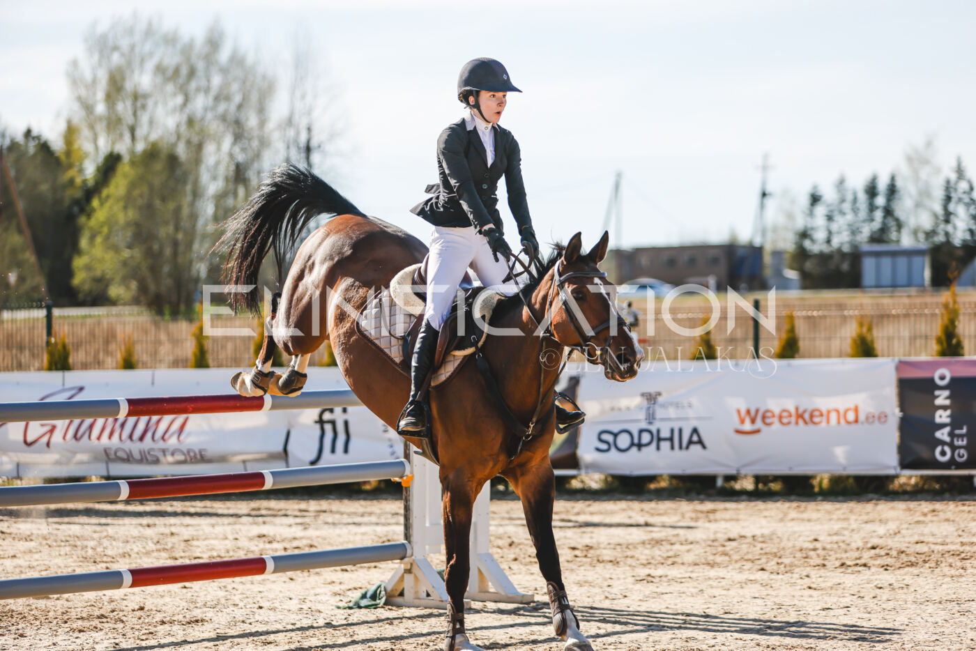 Gramina_Volber_2026_hc120-125_0015