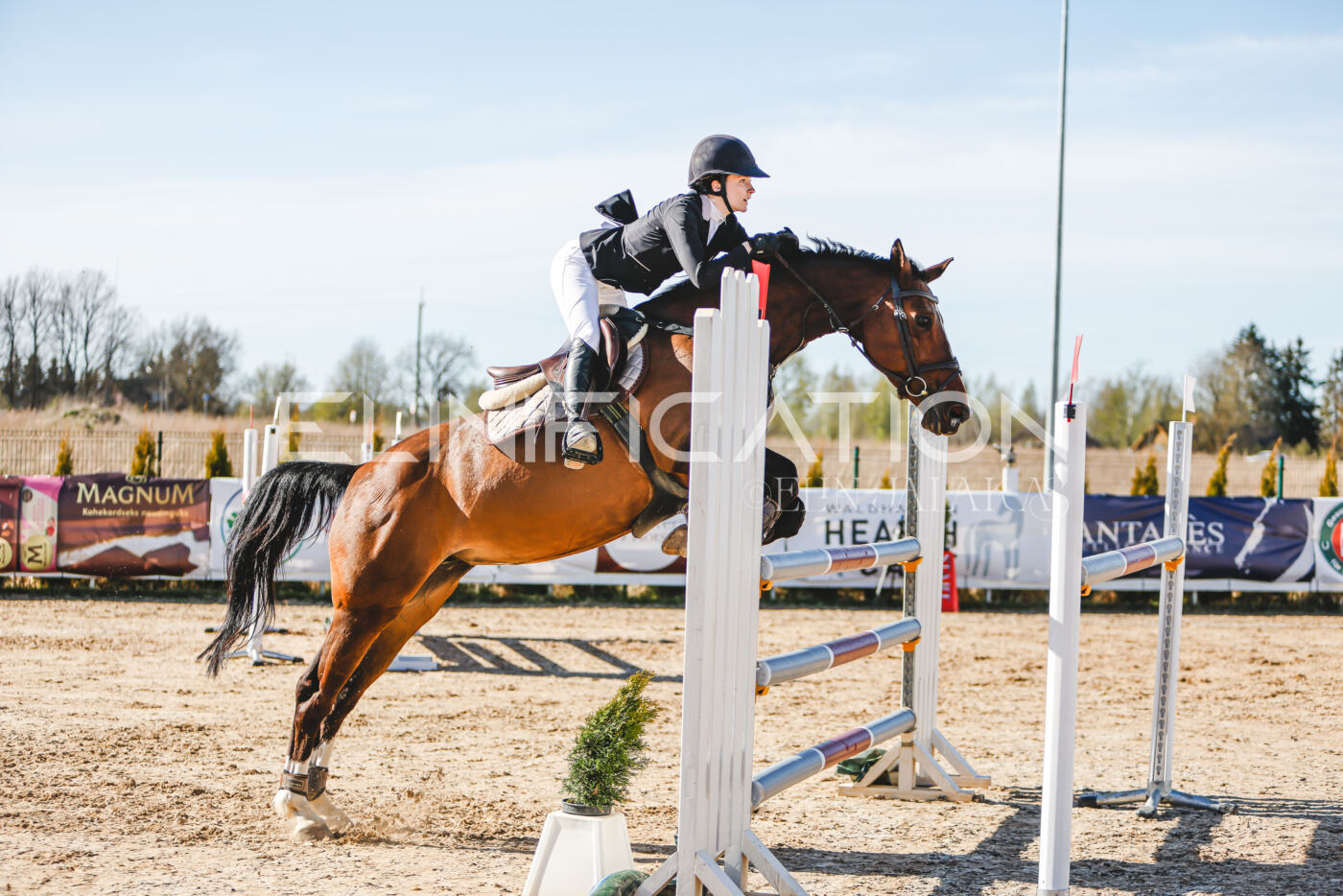 Gramina_Volber_2026_hc120-125_0016
