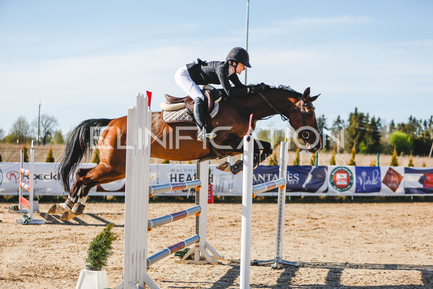 Gramina_Volber_2026_hc120-125_0019