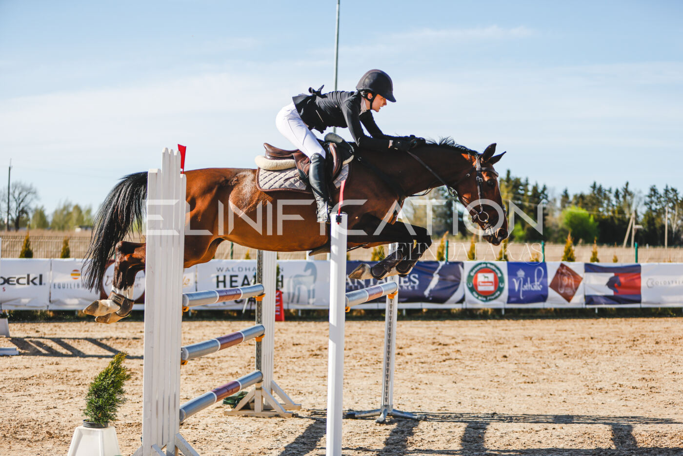 Gramina_Volber_2026_hc120-125_0020