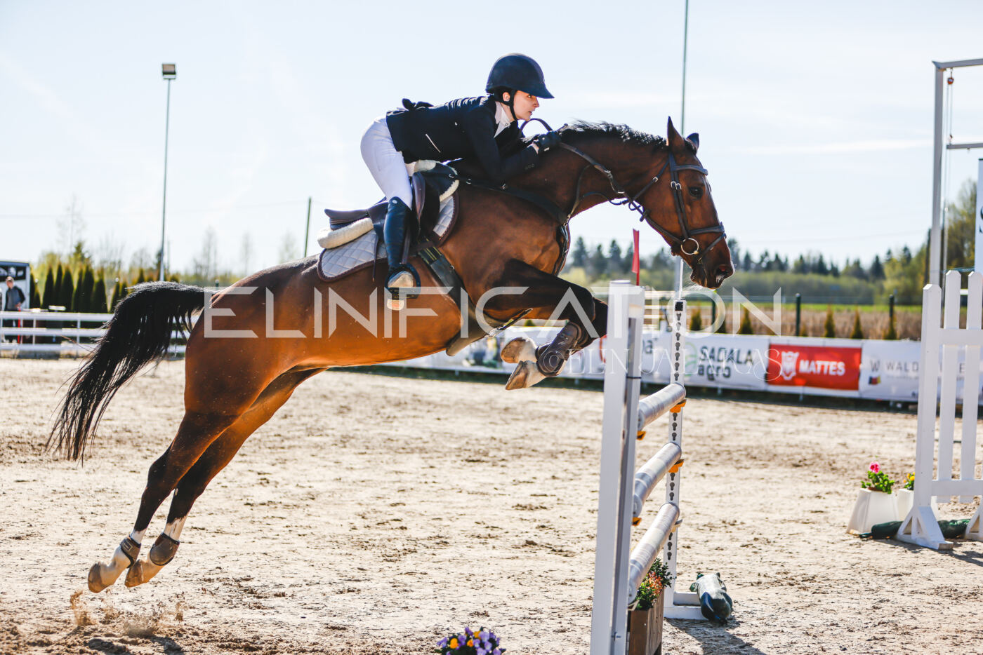 Gramina_Volber_2026_hc120-125_0042