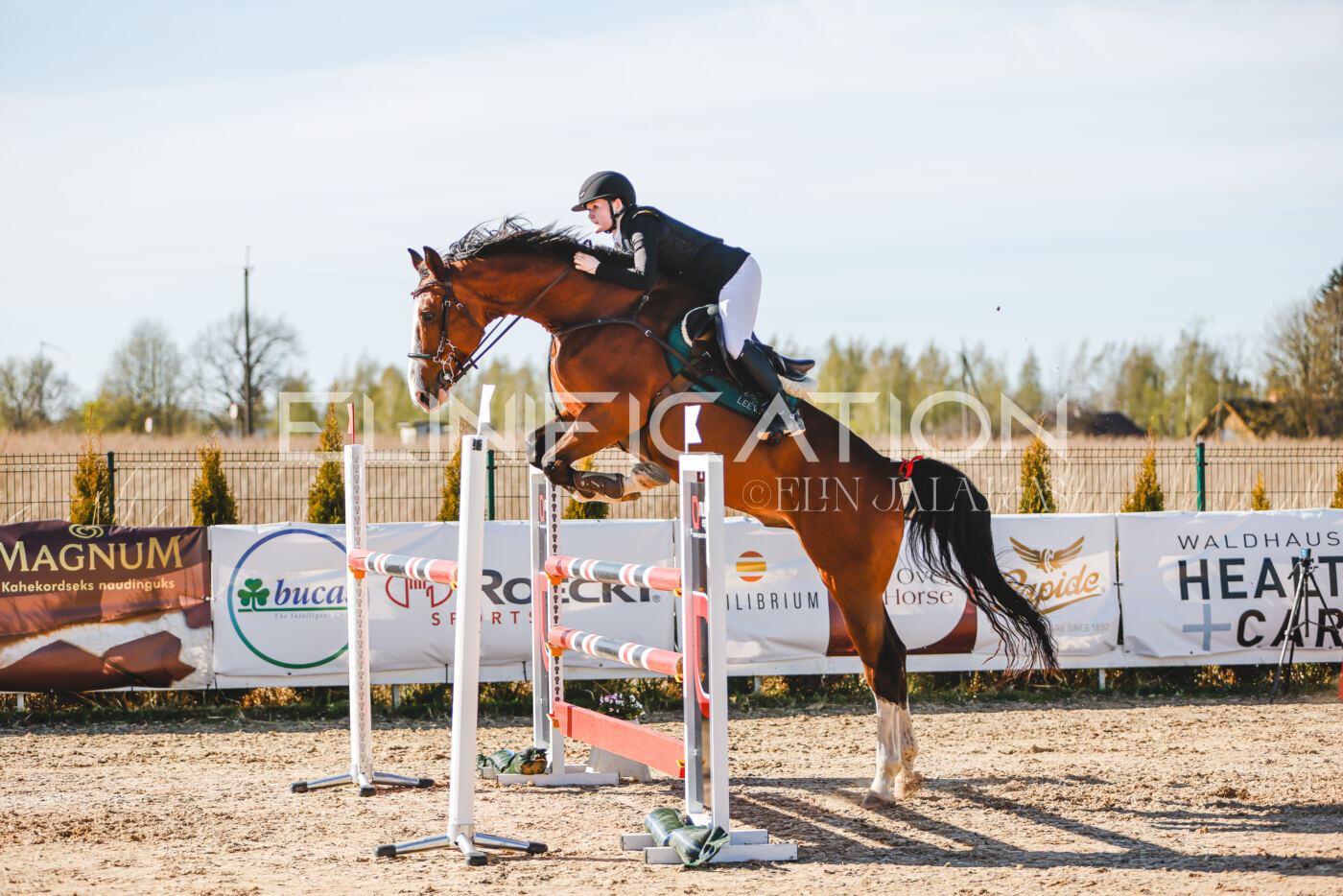 Gramina_Volber_2026_hc120-125_0114