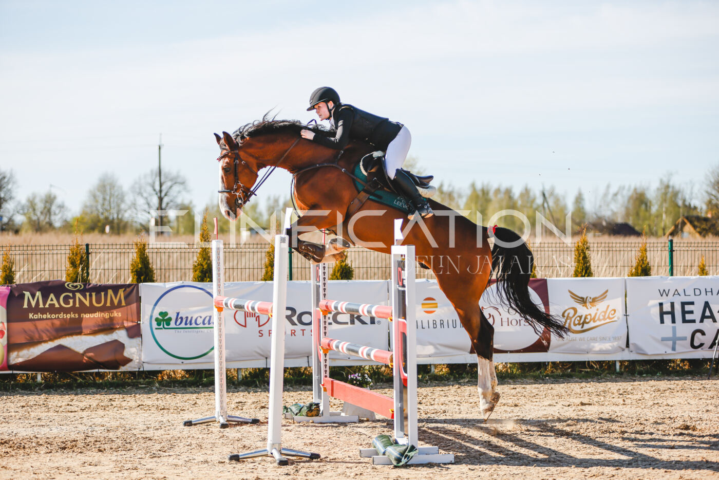 Gramina_Volber_2026_hc120-125_0115