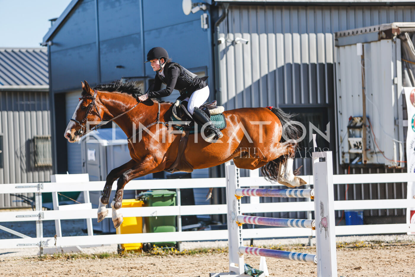 Gramina_Volber_2026_hc120-125_0164