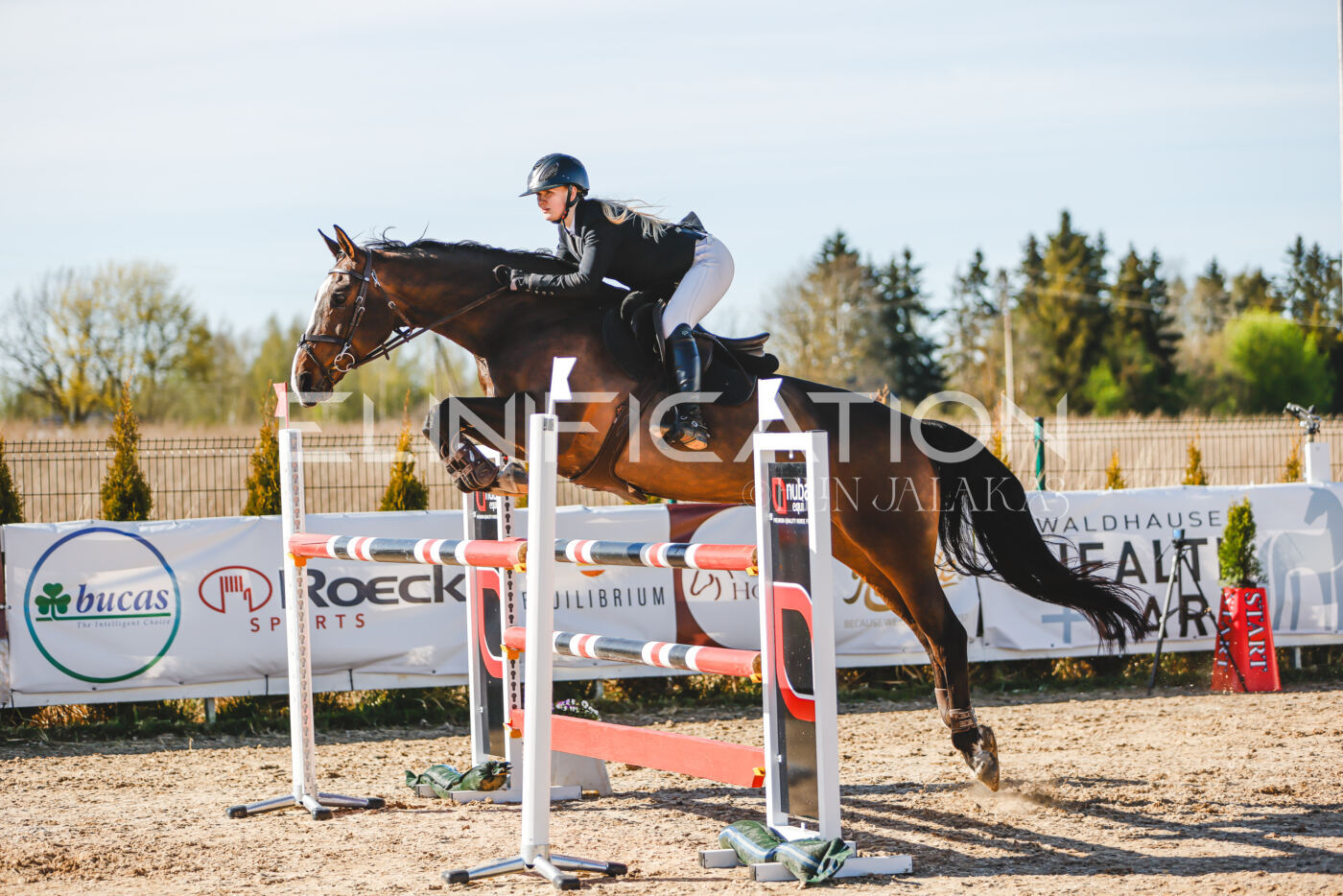 Gramina_Volber_2026_hc120-125_0178