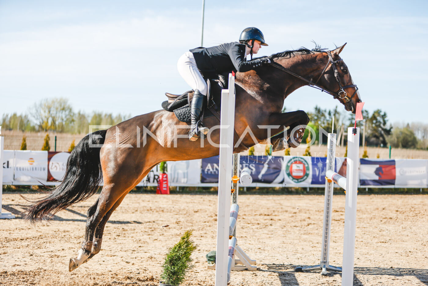 Gramina_Volber_2026_hc120-125_0187