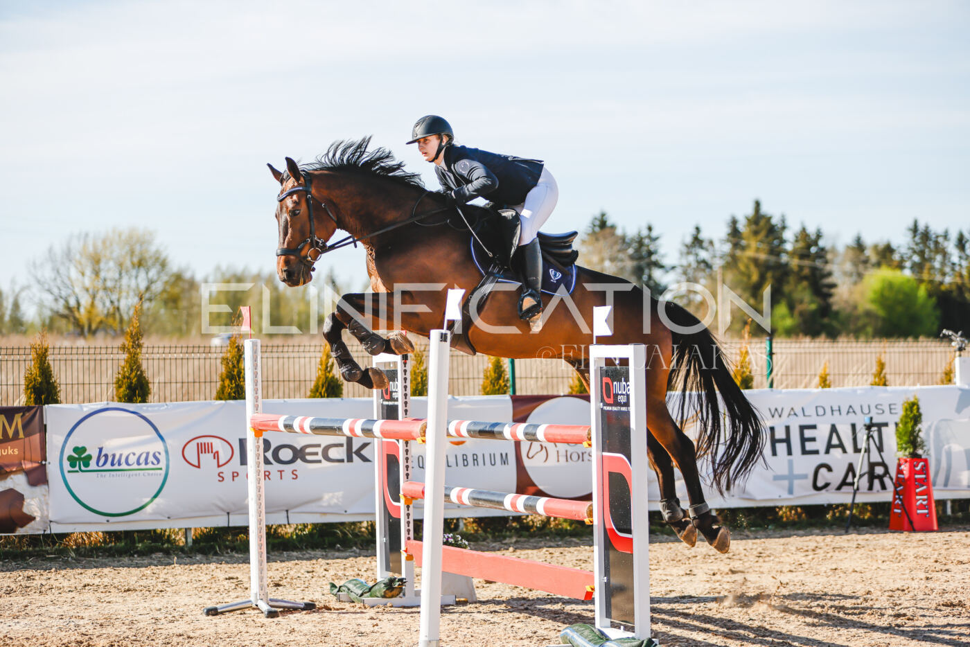 Gramina_Volber_2026_hc120-125_0216