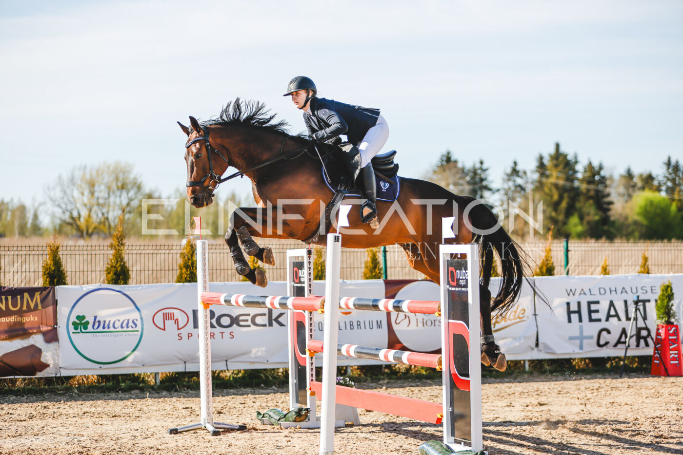 Gramina_Volber_2026_hc120-125_0217