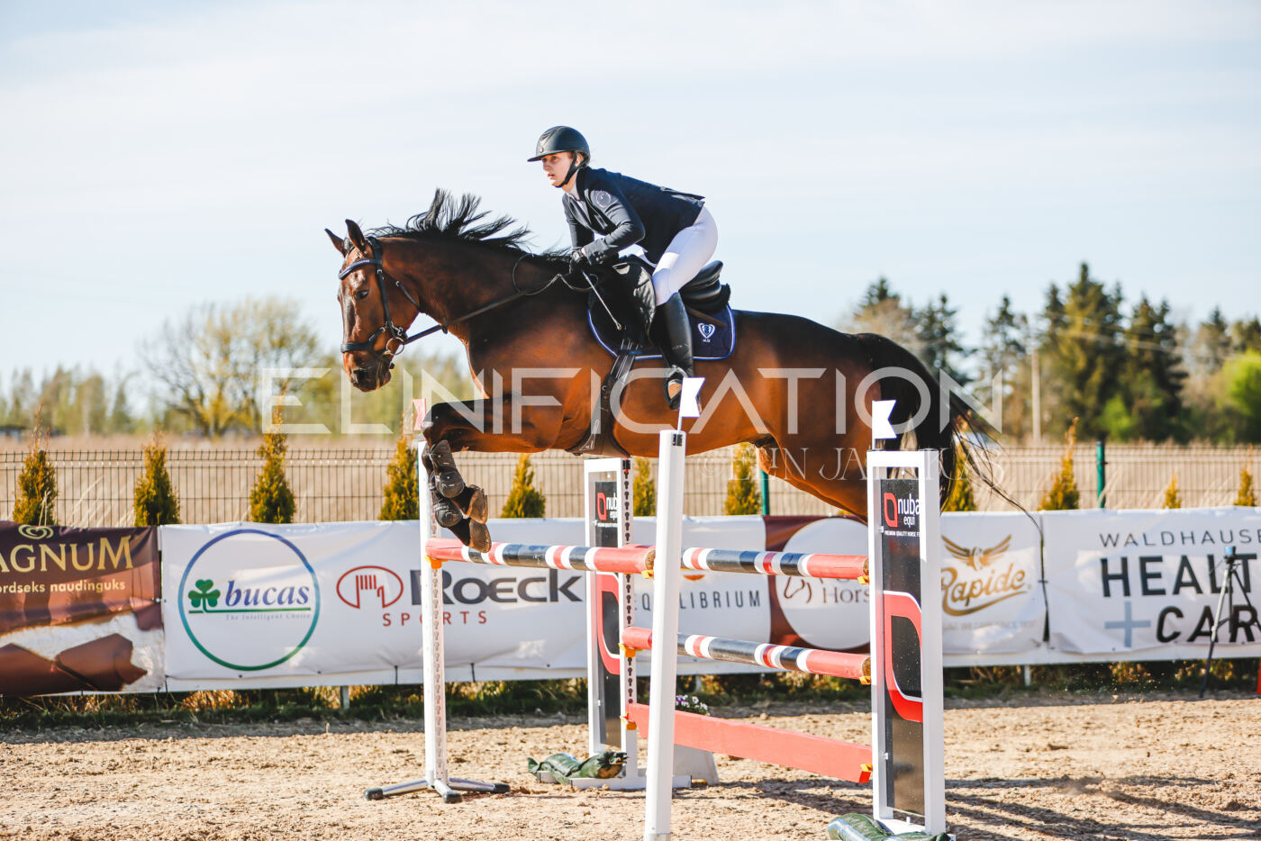 Gramina_Volber_2026_hc120-125_0218