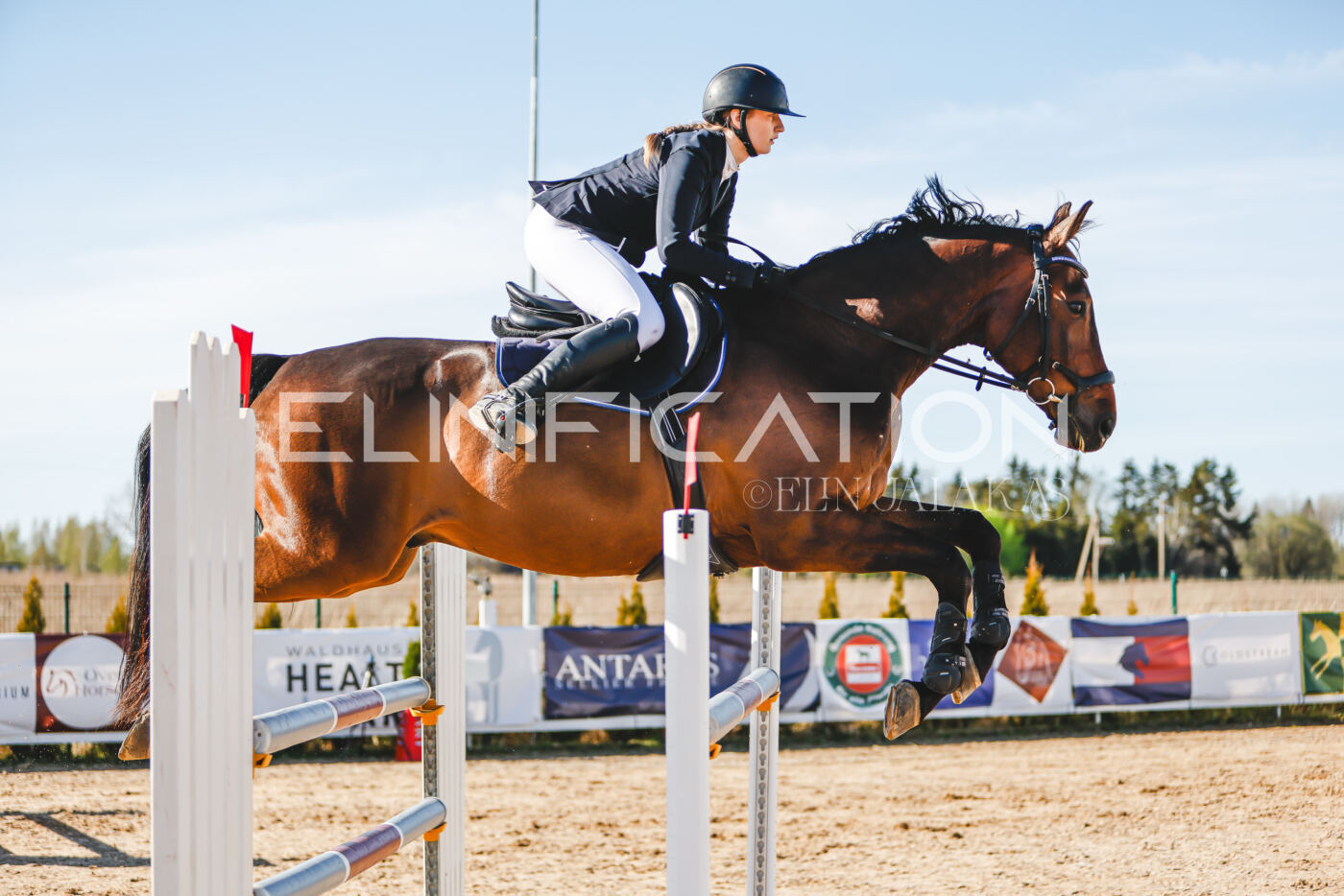 Gramina_Volber_2026_hc120-125_0229