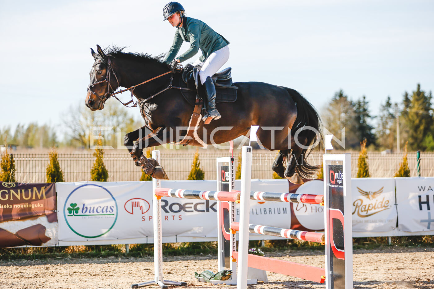 Gramina_Volber_2026_hc120-125_0302