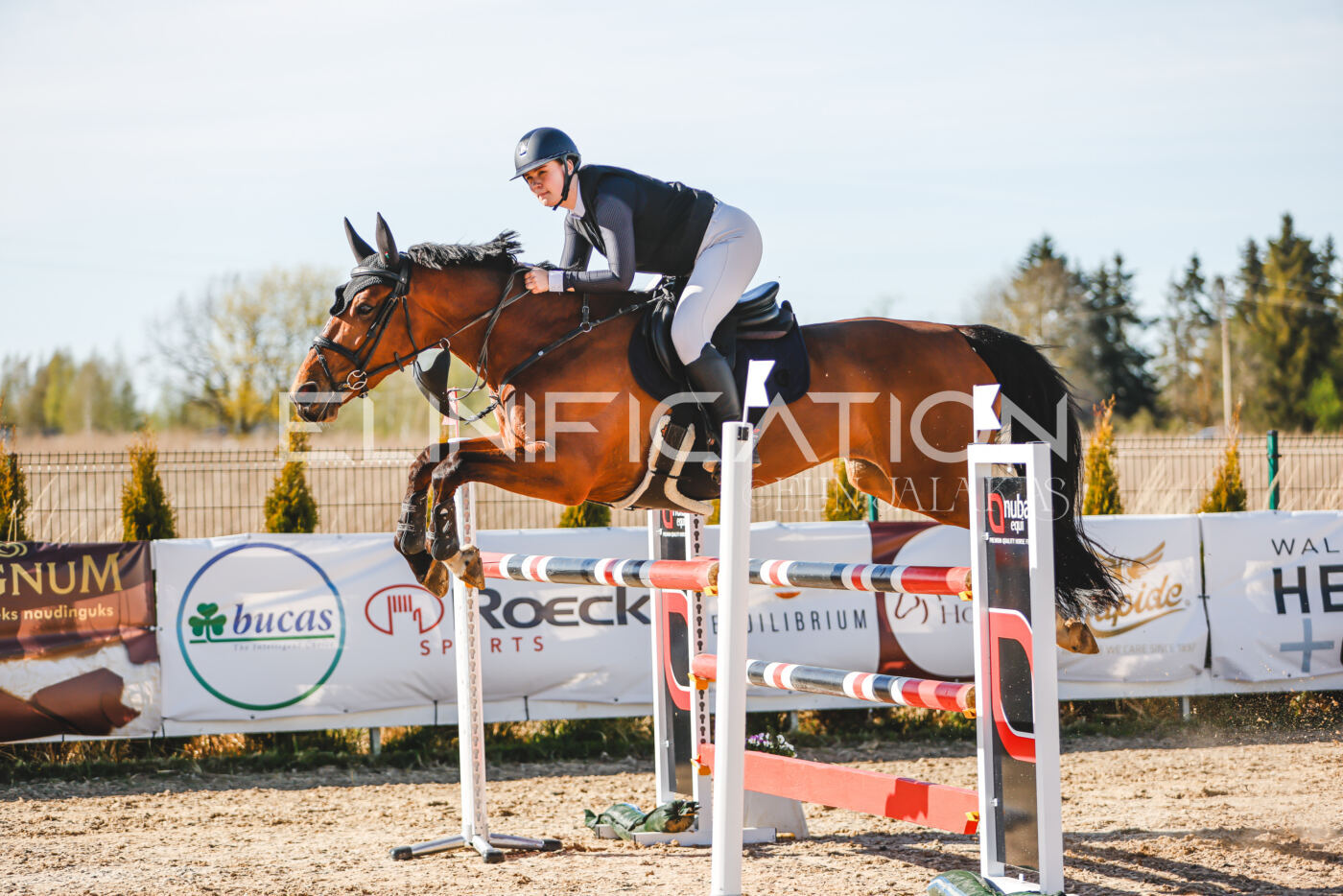 Gramina_Volber_2026_hc120-125_0342