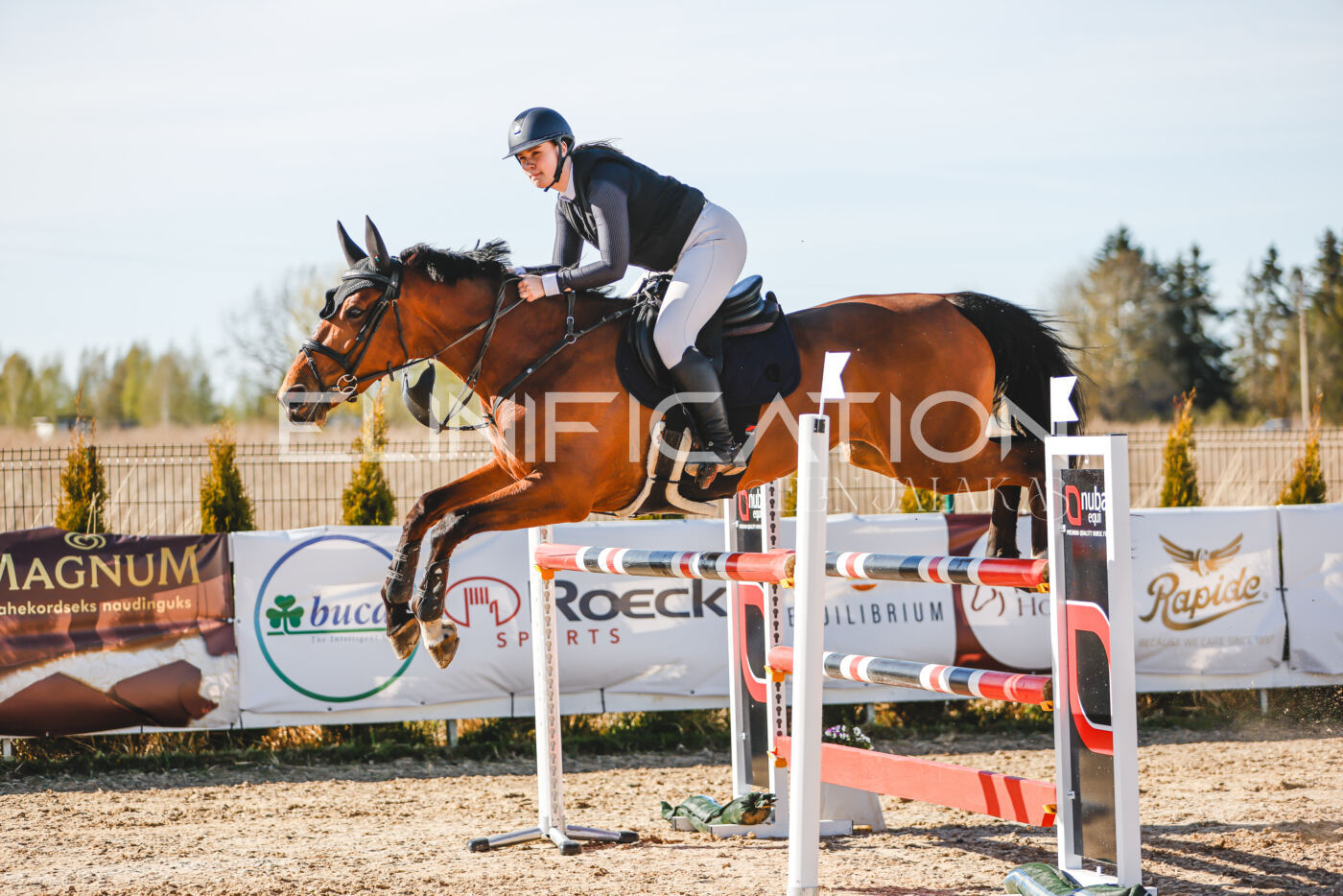 Gramina_Volber_2026_hc120-125_0343