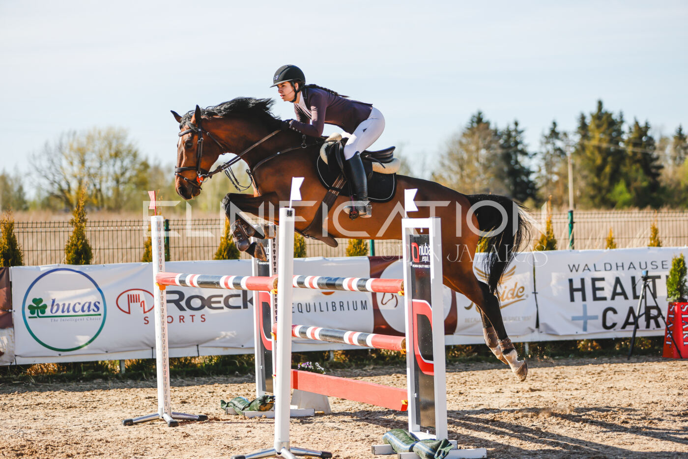Gramina_Volber_2026_hc120-125_0383