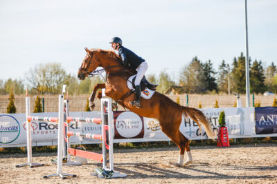 Gramina_Volber_2026_130_0001