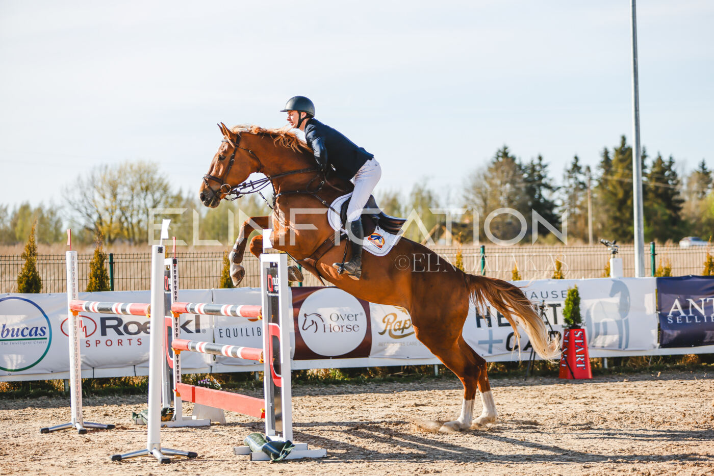 Gramina_Volber_2026_130_0001