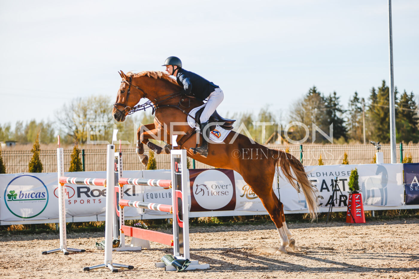 Gramina_Volber_2026_130_0002