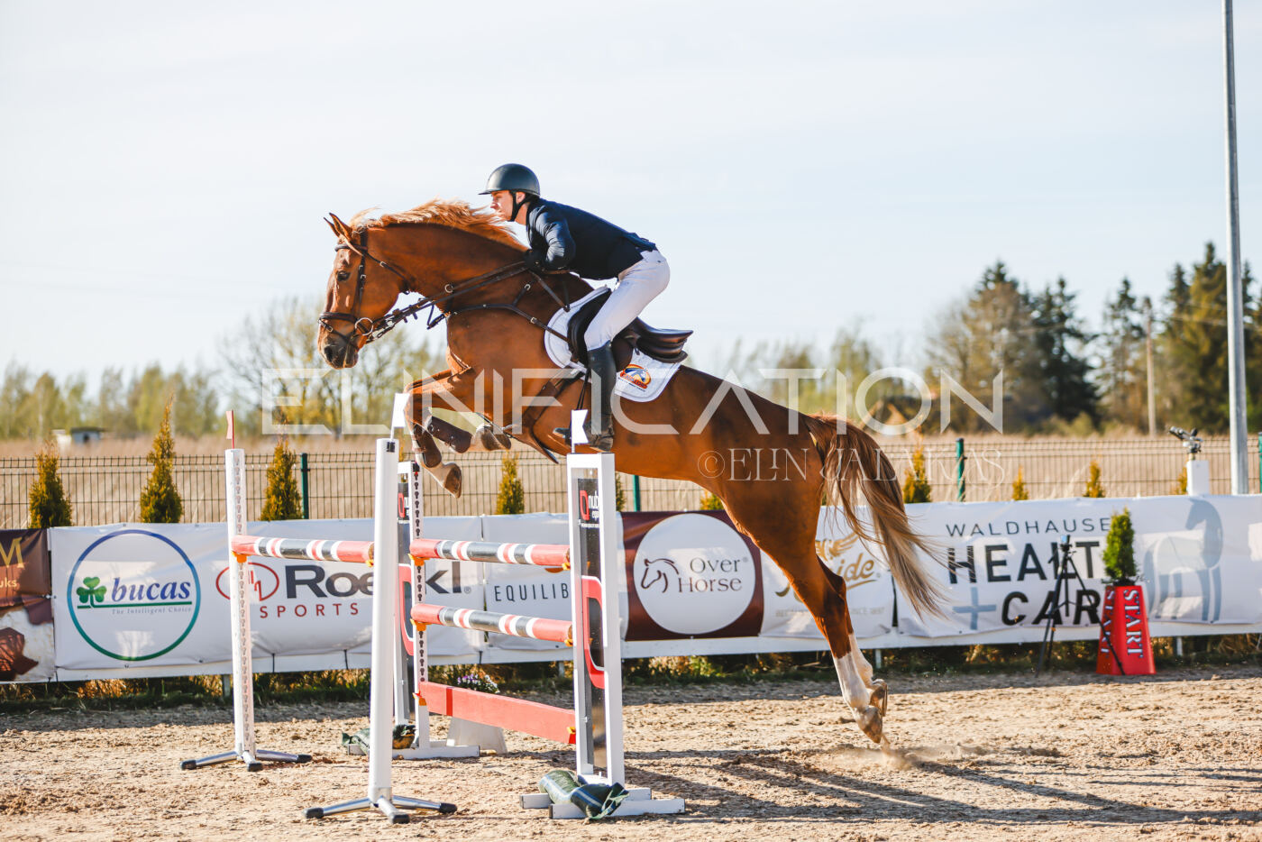 Gramina_Volber_2026_130_0003