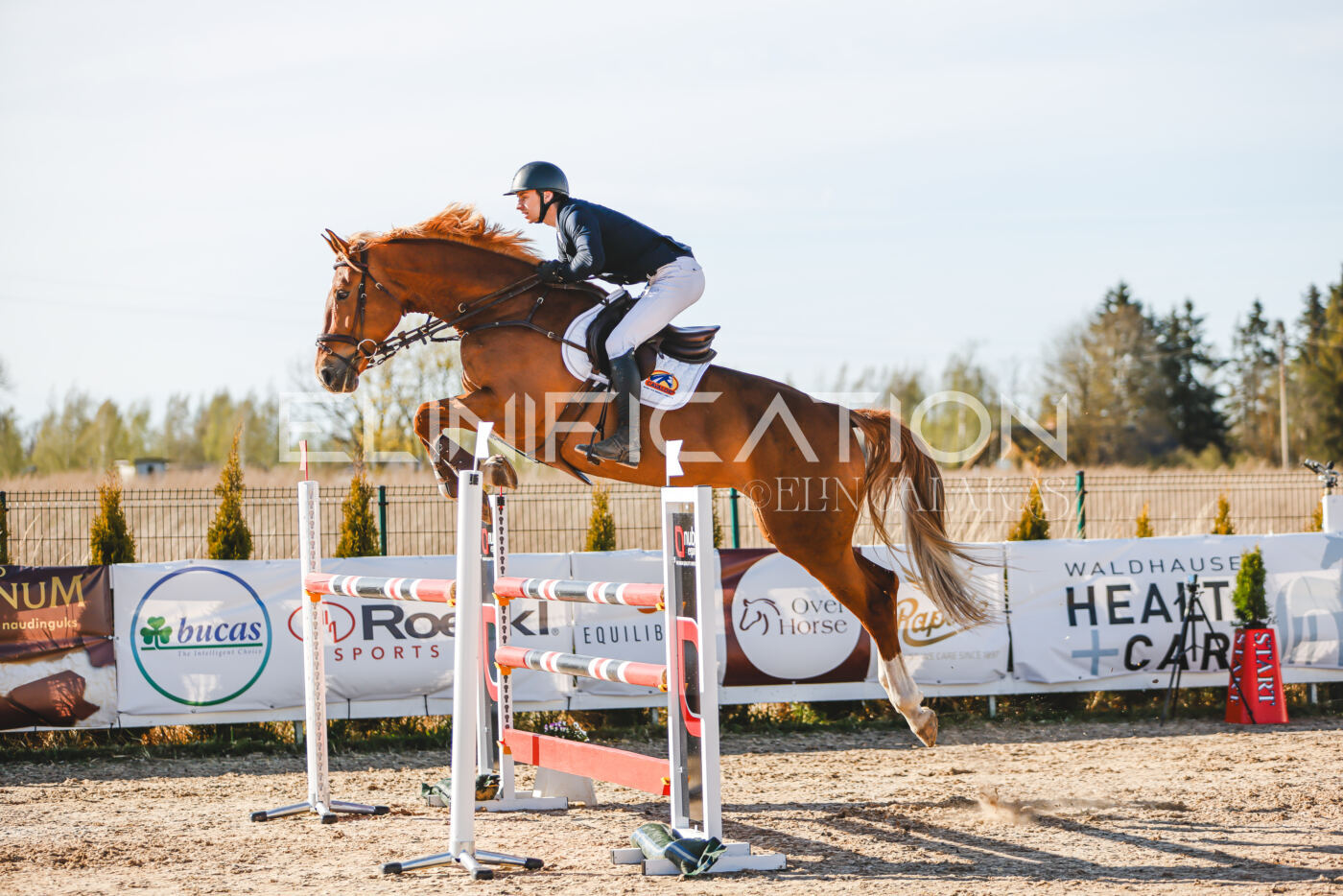 Gramina_Volber_2026_130_0004
