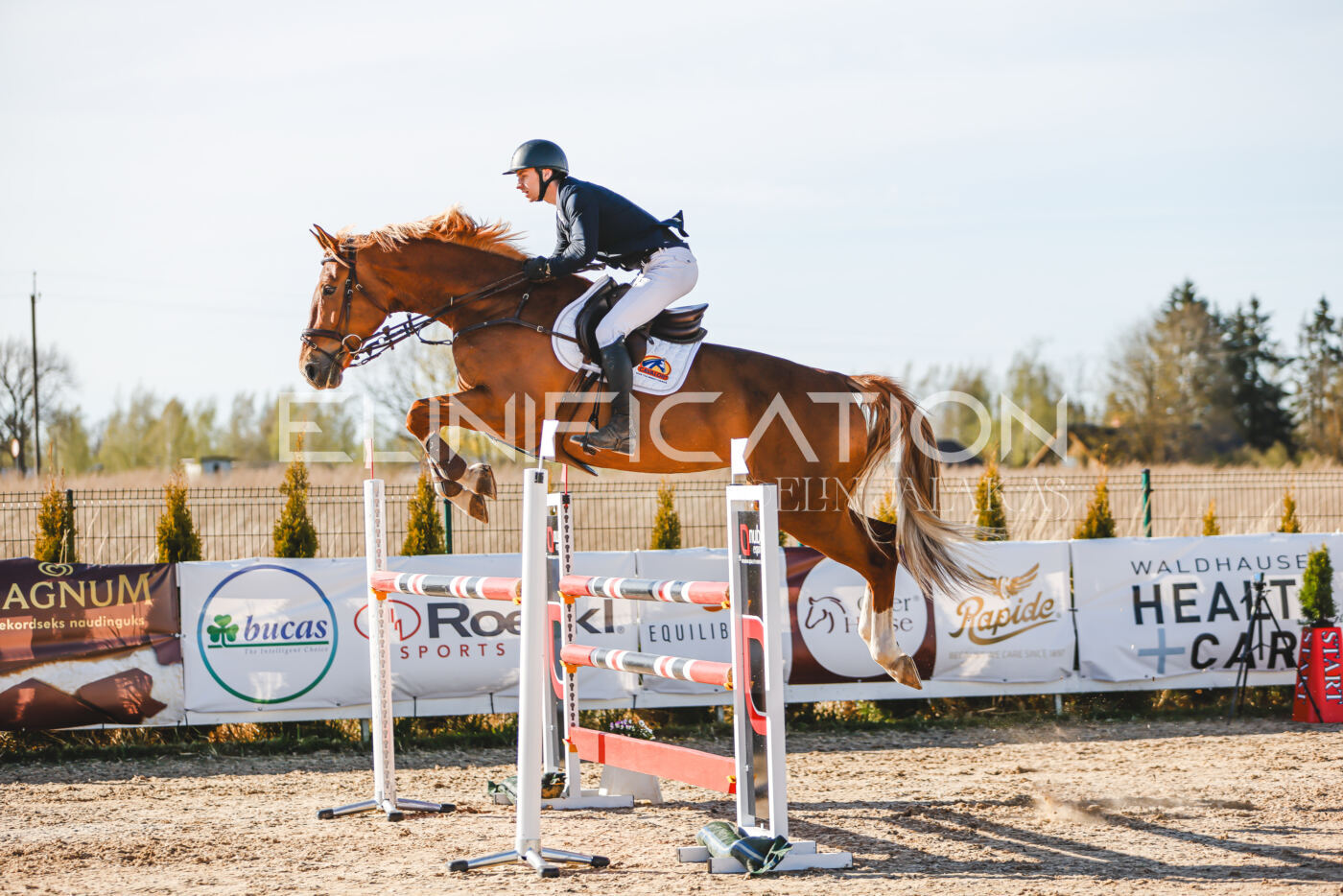 Gramina_Volber_2026_130_0005