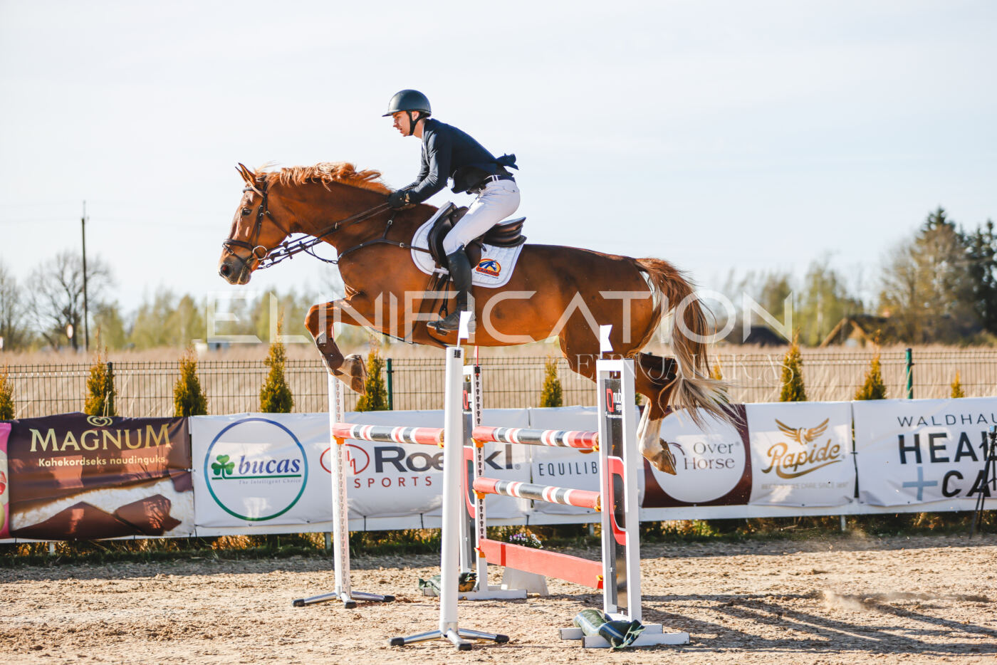 Gramina_Volber_2026_130_0006