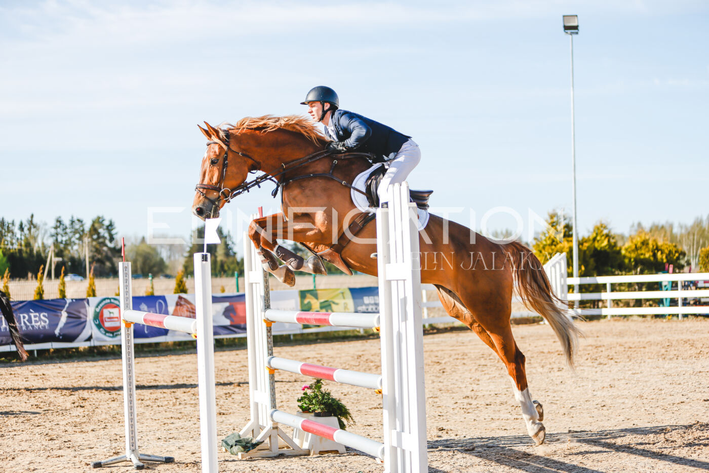 Gramina_Volber_2026_130_0011