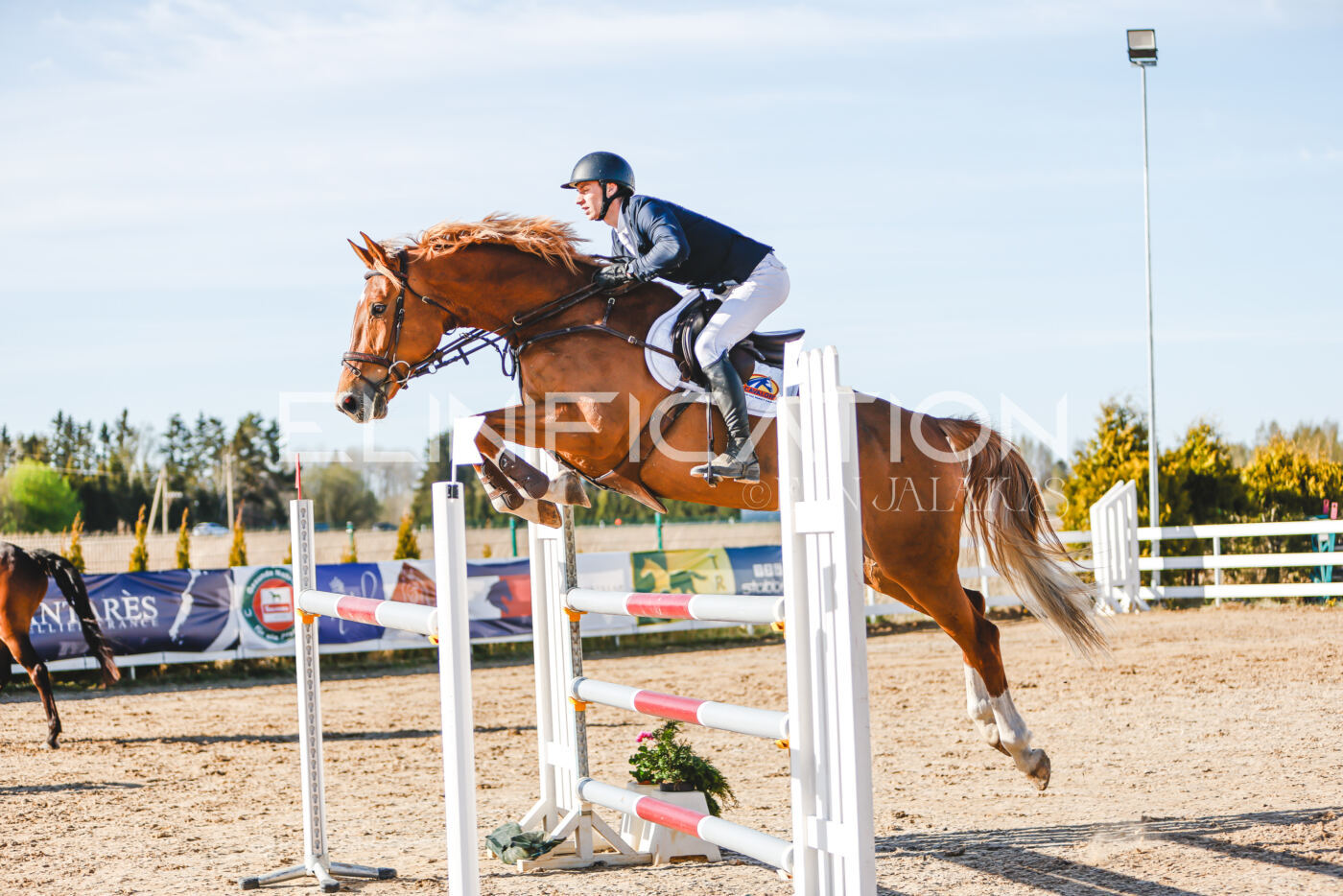 Gramina_Volber_2026_130_0012