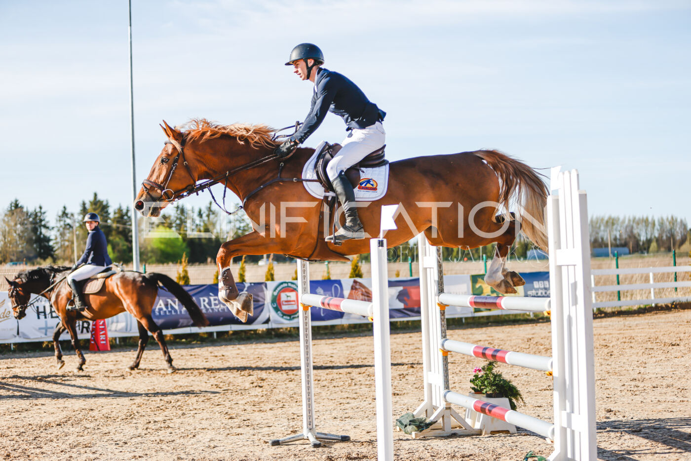 Gramina_Volber_2026_130_0016