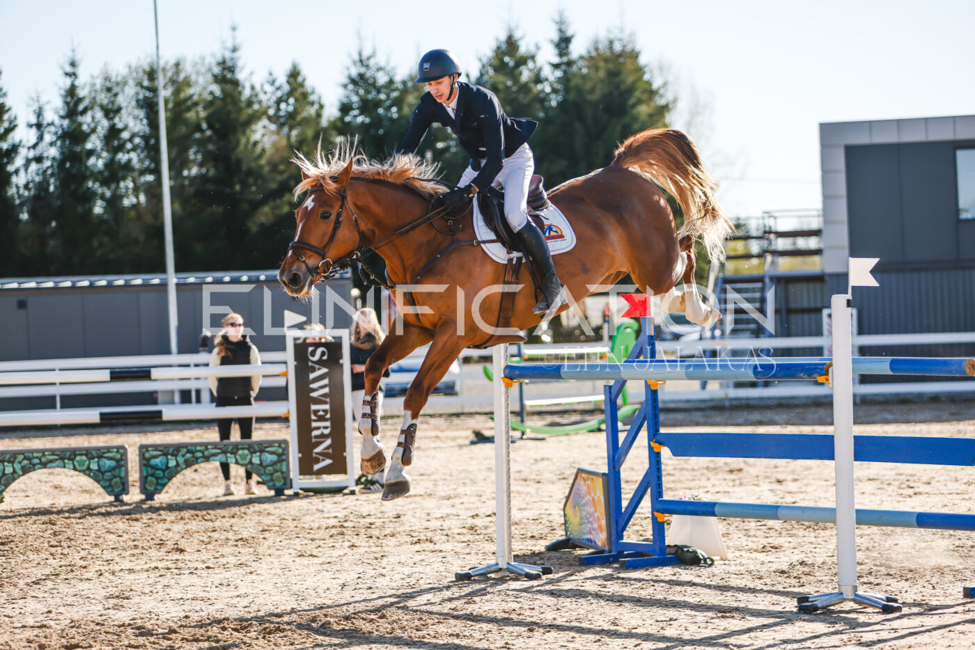 Gramina_Volber_2026_130_0037