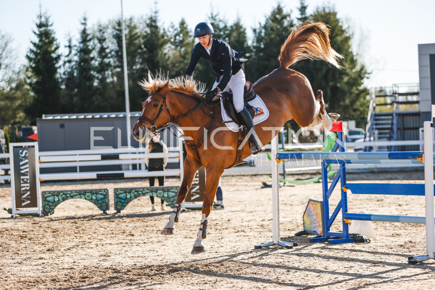 Gramina_Volber_2026_130_0039