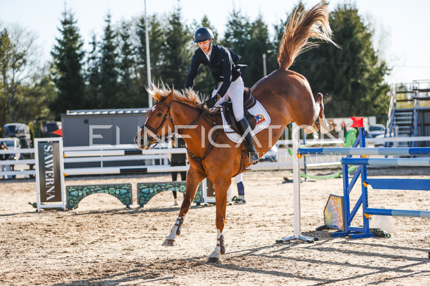 Gramina_Volber_2026_130_0040
