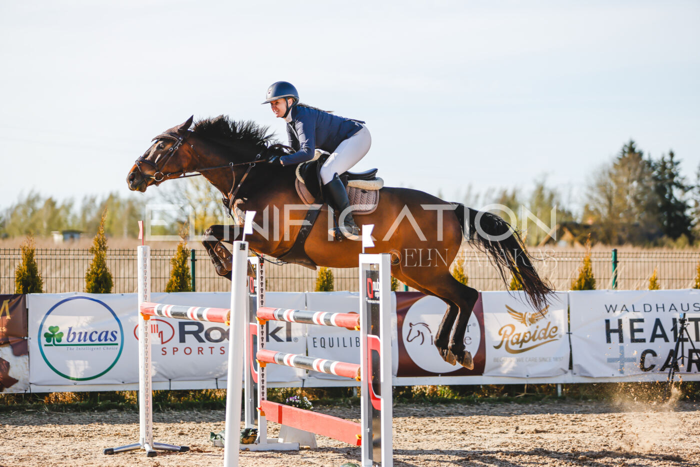 Gramina_Volber_2026_130_0045