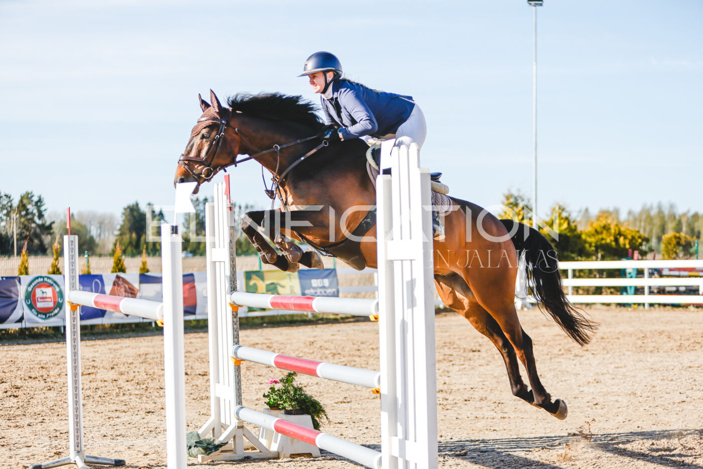 Gramina_Volber_2026_130_0056