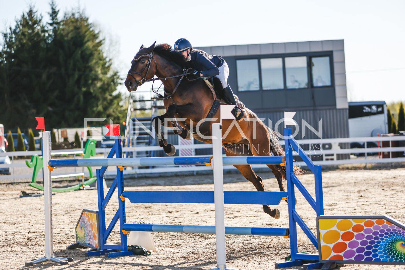 Gramina_Volber_2026_130_0075