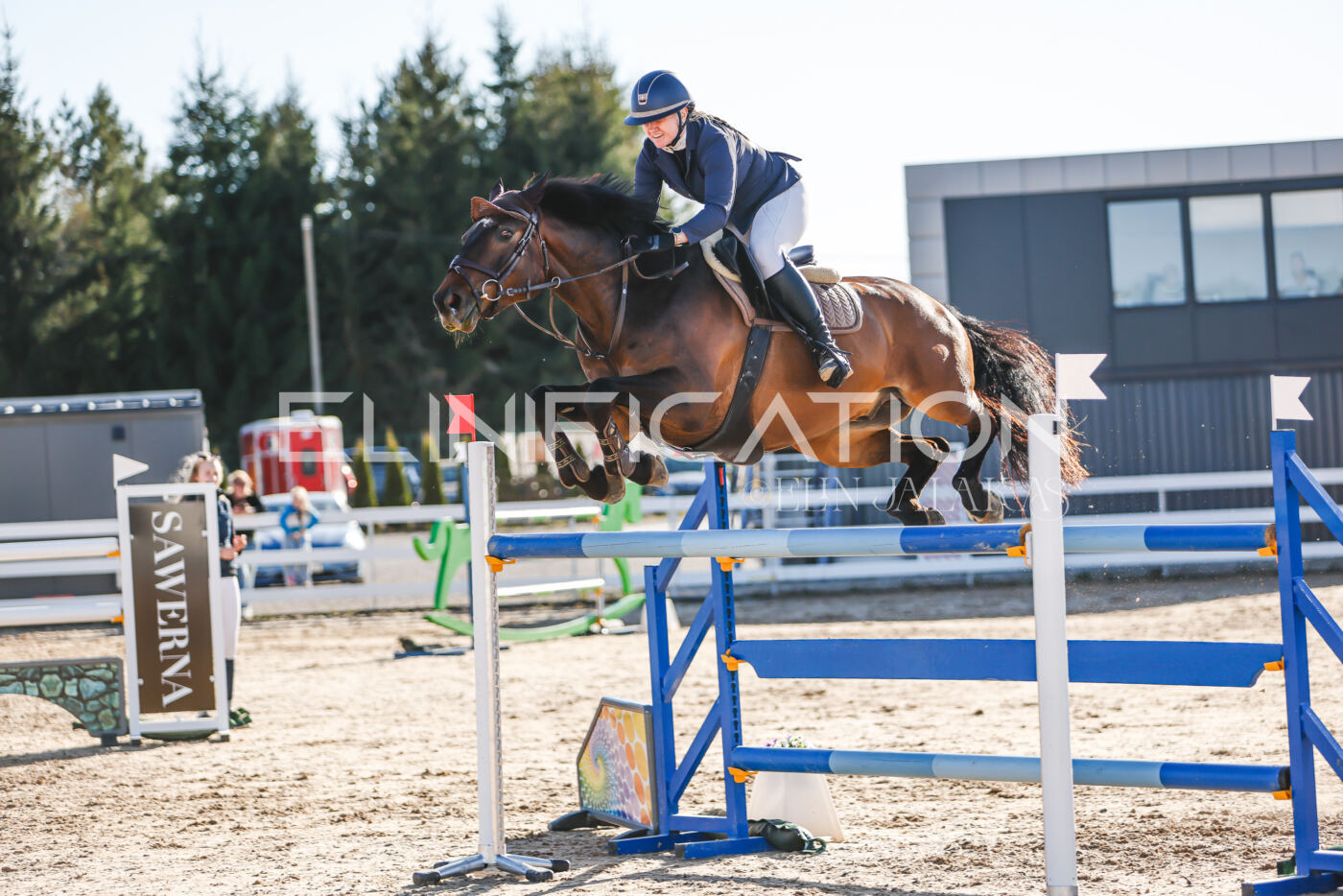 Gramina_Volber_2026_130_0079