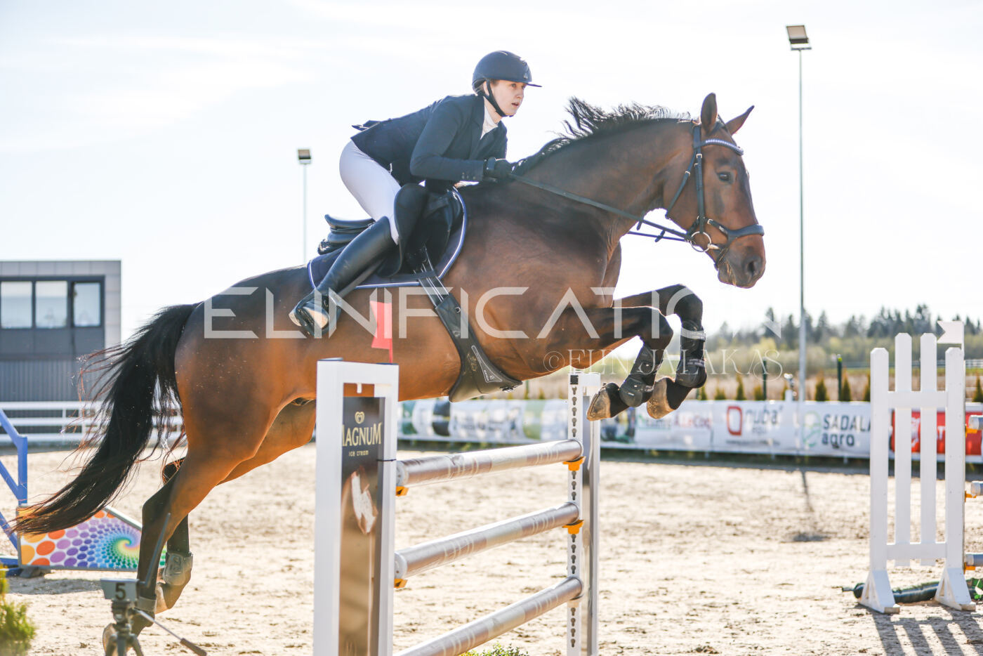 Gramina_Volber_2026_130_0111