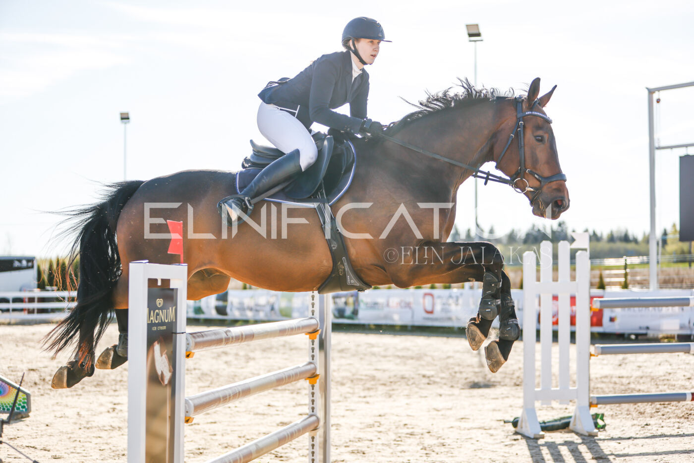 Gramina_Volber_2026_130_0113