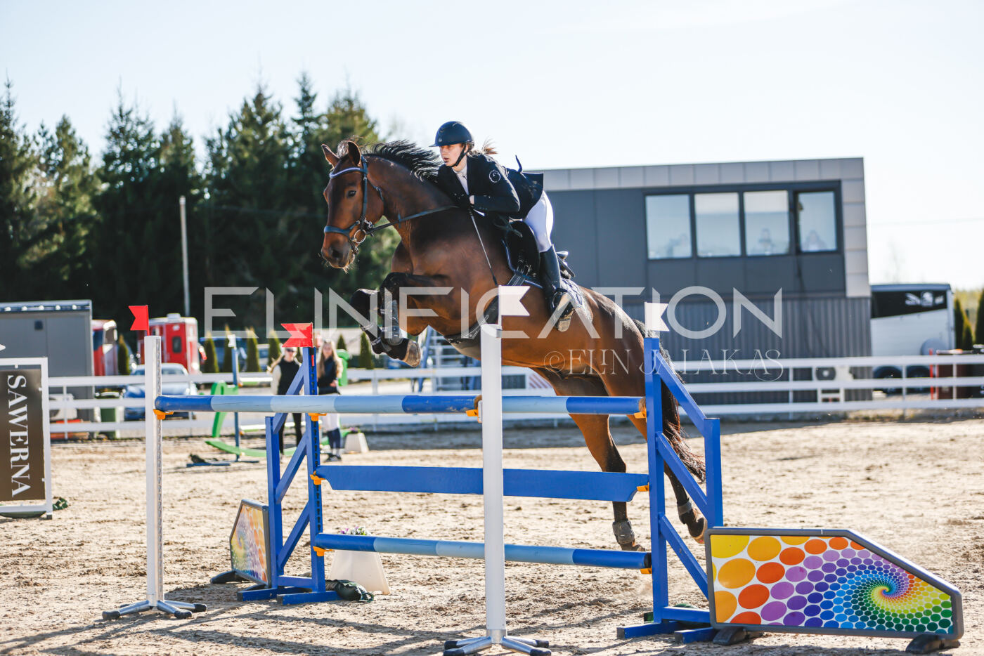 Gramina_Volber_2026_130_0115