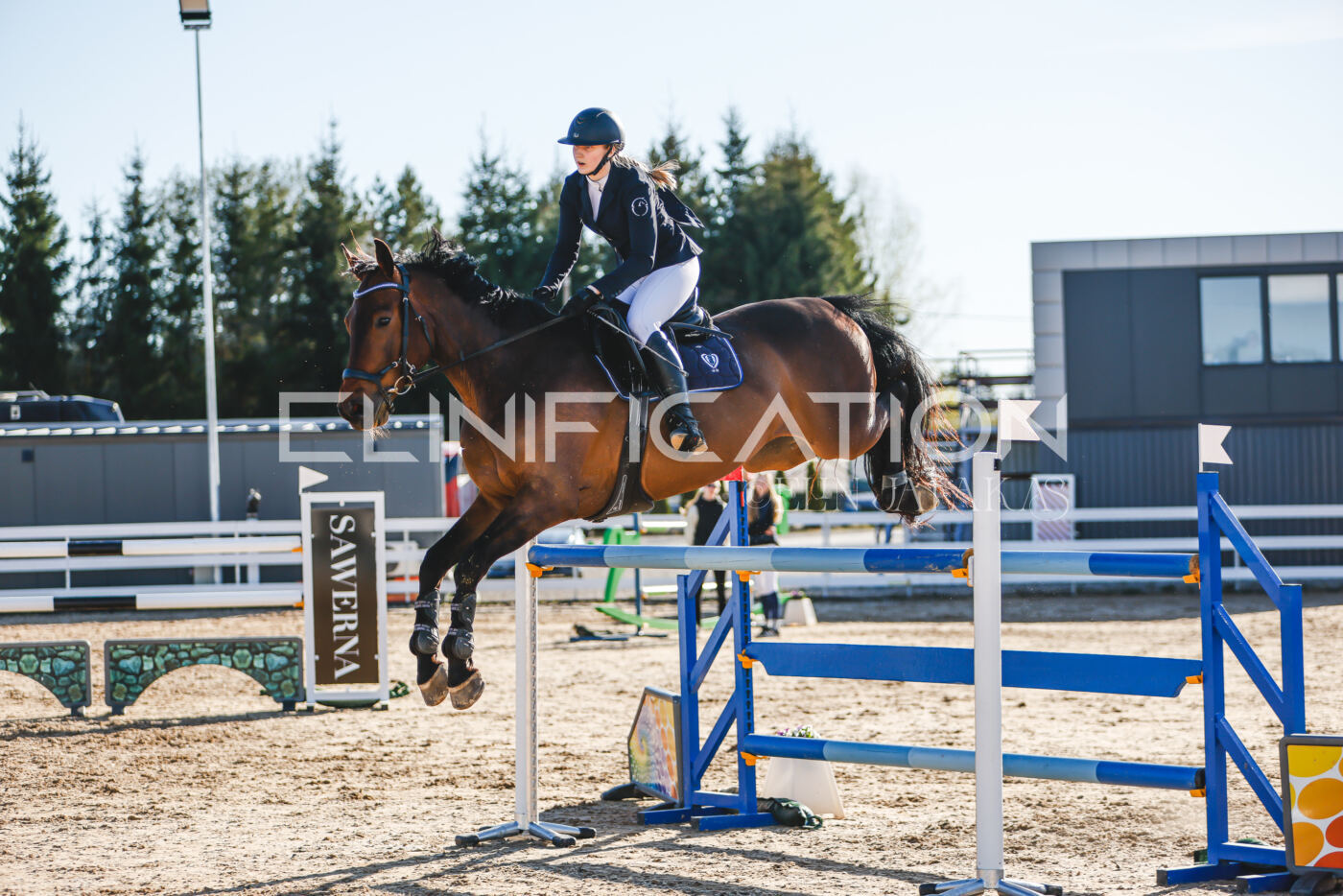 Gramina_Volber_2026_130_0121