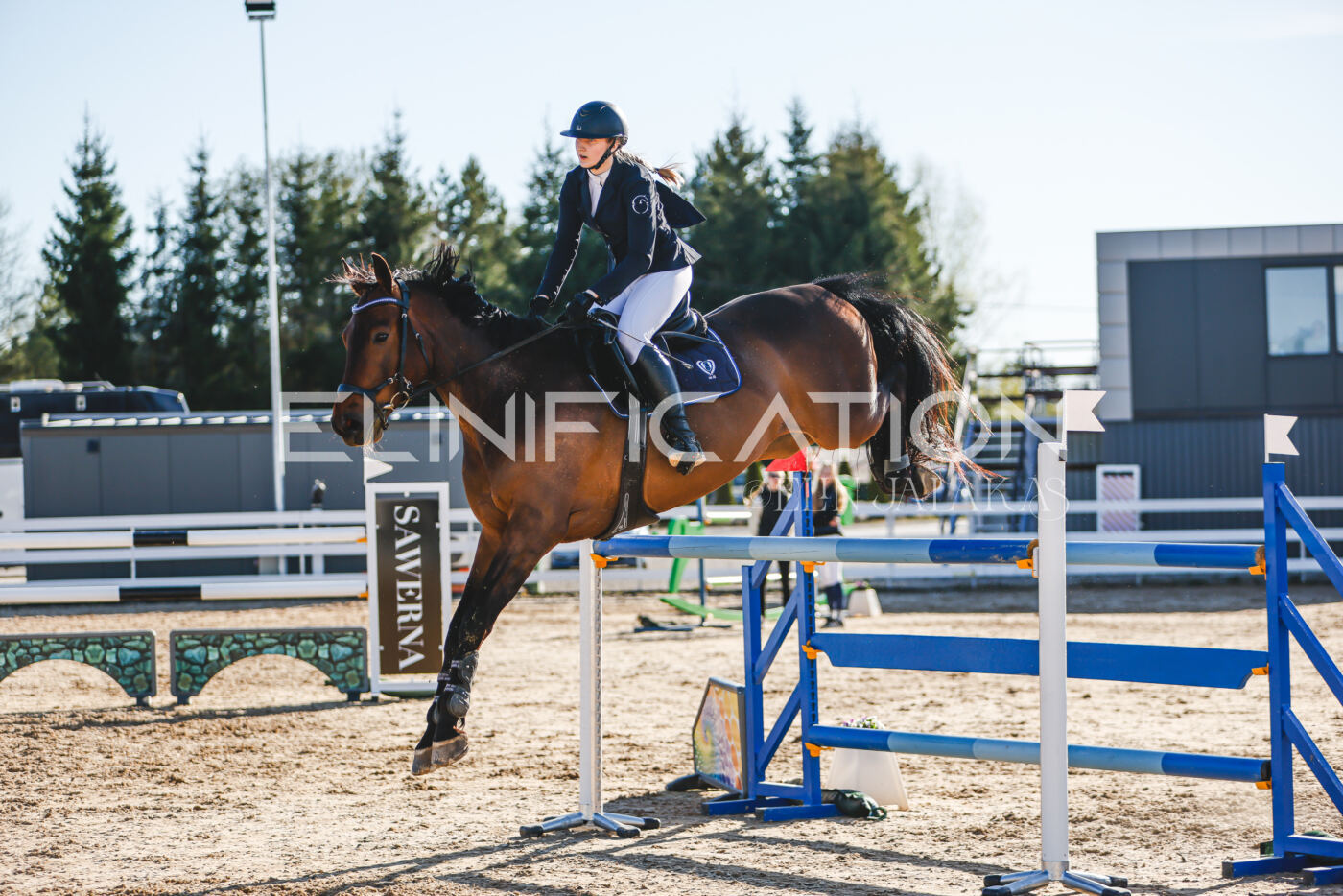 Gramina_Volber_2026_130_0122