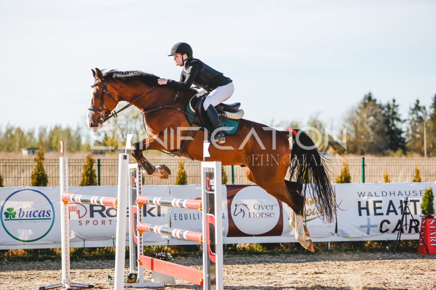 Gramina_Volber_2026_130_0125