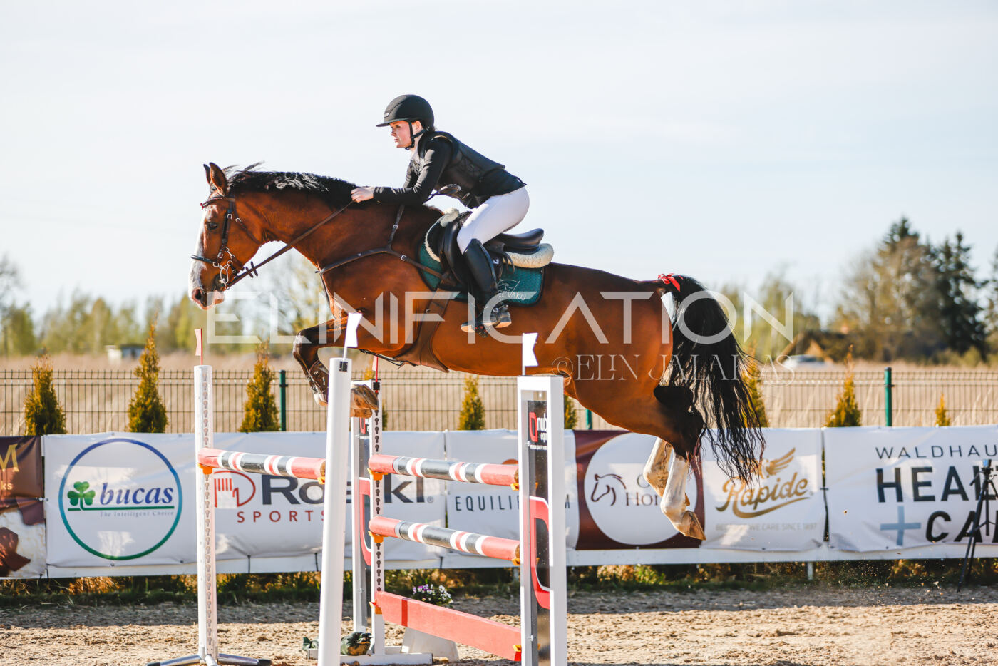 Gramina_Volber_2026_130_0126